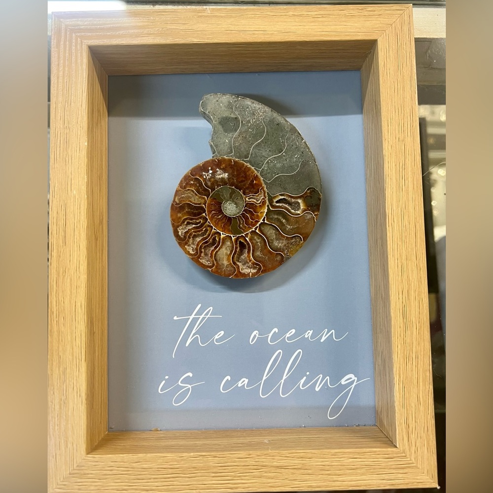 Large Ammonite Fossil mounted in Frame ‘The ocean is calling’ 7” x 9” frame